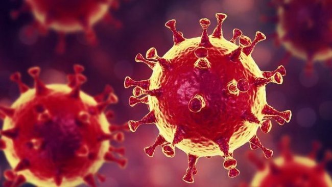 Koronavirus'ü öldüren madde keşfedildi