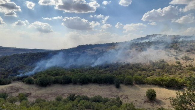 Diyarbakır'da operasyonun ardından orman yangını başladı