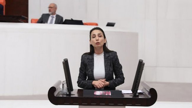 HDP’li Hatimoğulları’na saldırı girişimi