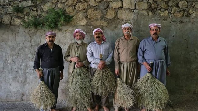 Kürtçe cahili ileri Kürdologlar nereden çıkıyor?