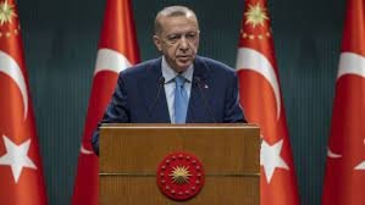 Erdoğan: İsveç ve Finlandiya gerekli şartları yerine getirmezse süreci dondururuz