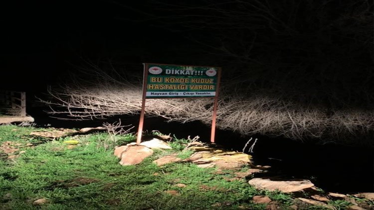 Kuduz alarmı: Adıyaman'da 3 köy karantinaya alındı