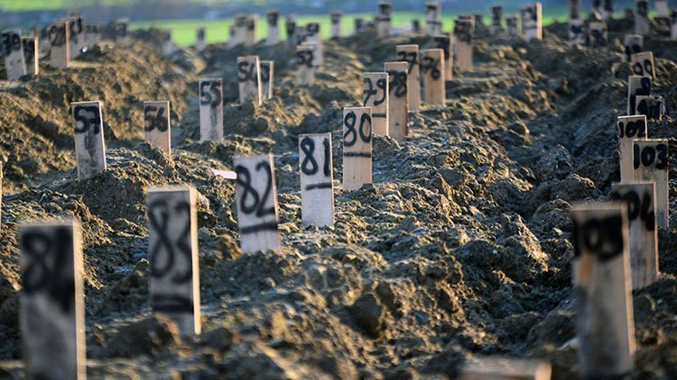 Hatay'da deprem mezarlığı; hayatını kaybedenler numaralarla defnediliyor