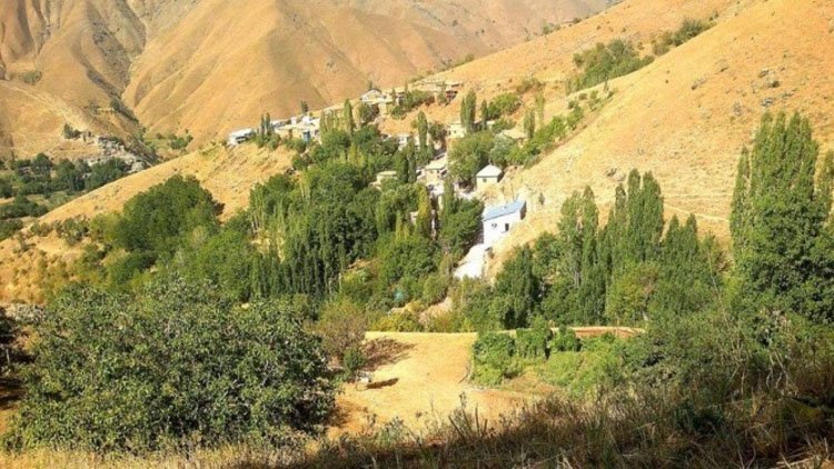 Bahçesaray’da çobanların 'yayla' kavgası: En az yedi kişi yaralandı