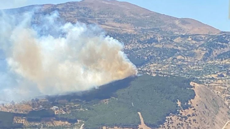 Maraş'ta orman yangını