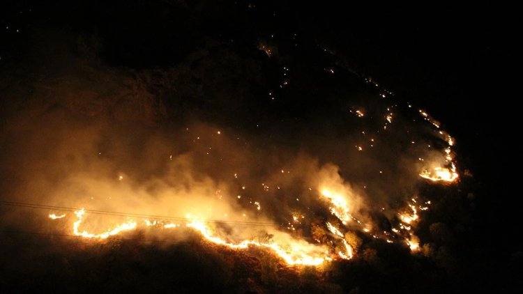 Diyarbakır, Bingöl ve Hakkari'de orman yangınları